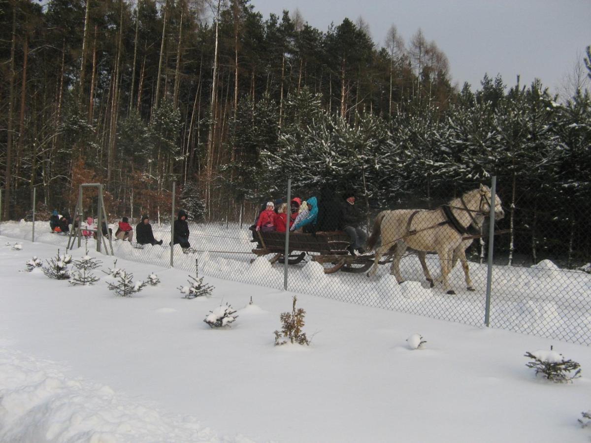 Lesny Dworek Snochowice Exterior photo